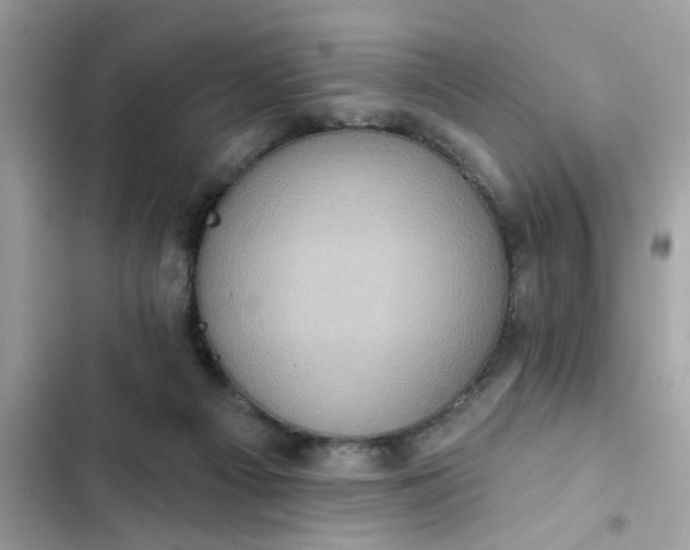 X0000102350121200808151759