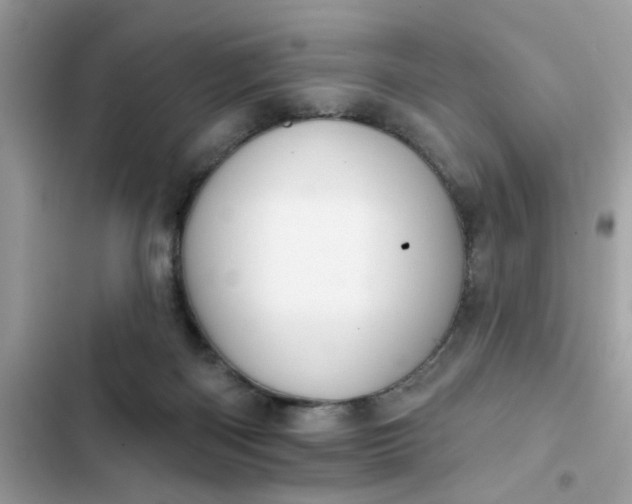 X0000102350122200808151759