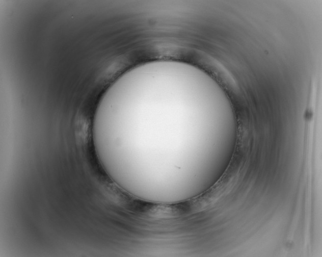 X0000102350123200808151759