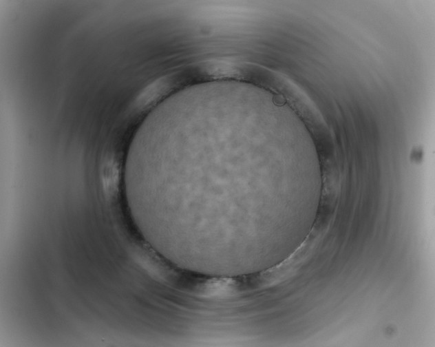 X0000102350124200808151759