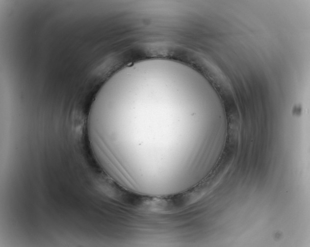 X0000102350125200808151759