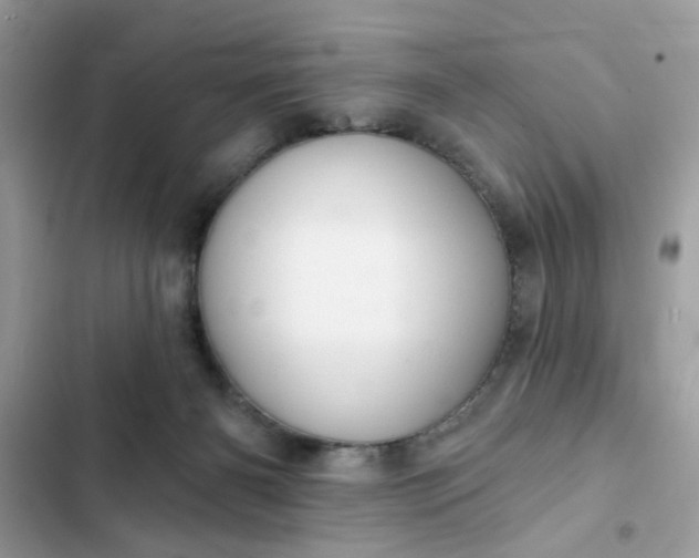 X0000102350126200808151759