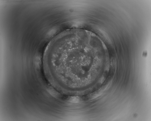 X0000102350127200808151759