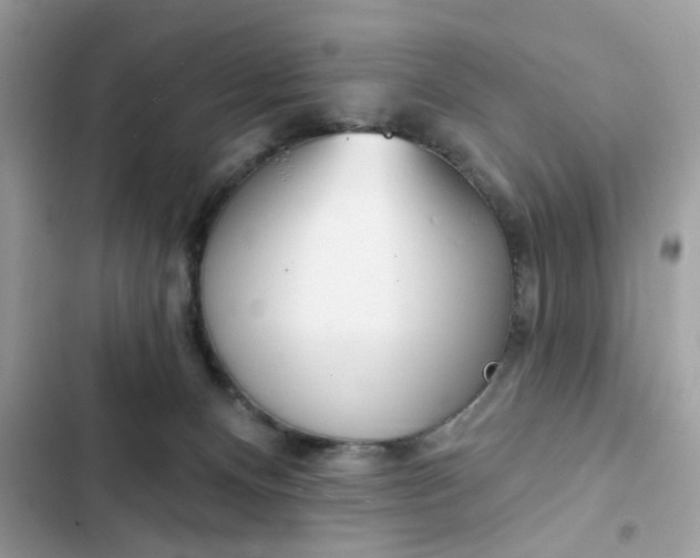 X0000102350128200808151759