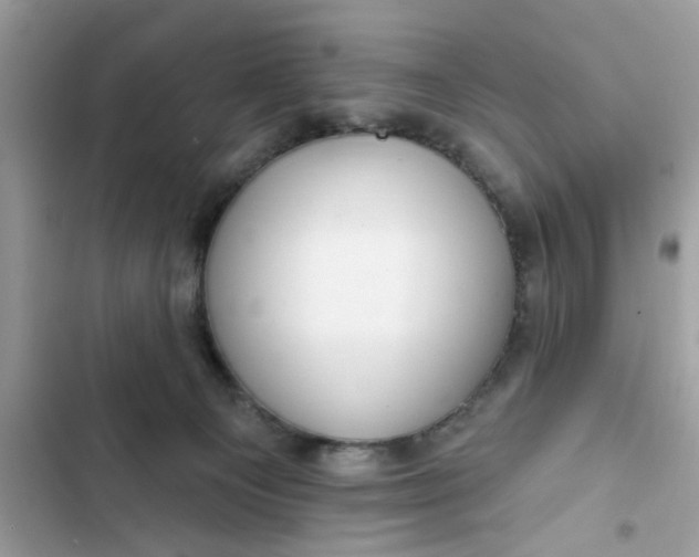 X0000102350129200808151759