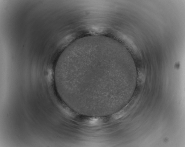 X0000102350130200808151759