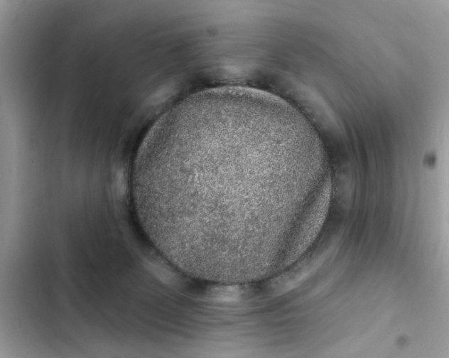 X0000102350131200808151759