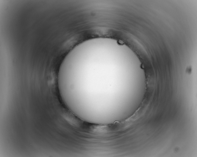 X0000102350132200808151759