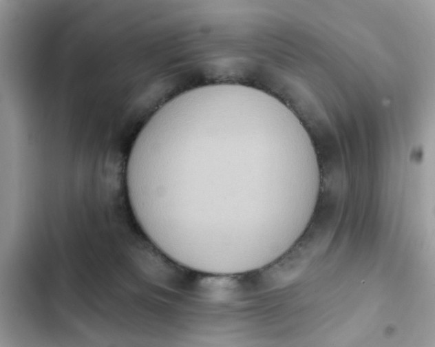 X0000102350133200808151759