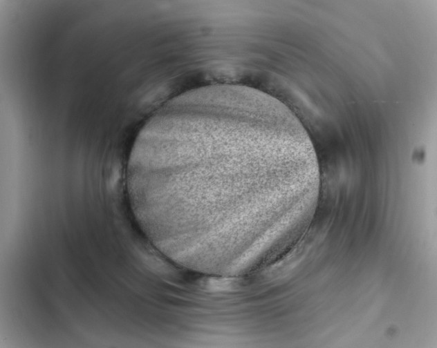 X0000102350134200808151759