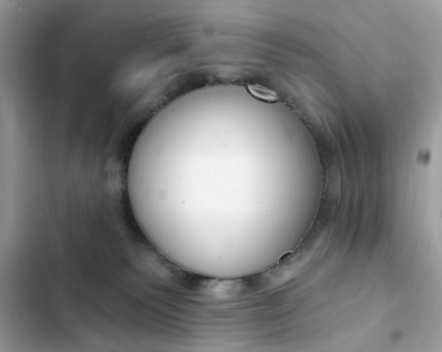 X0000102350135200808151759