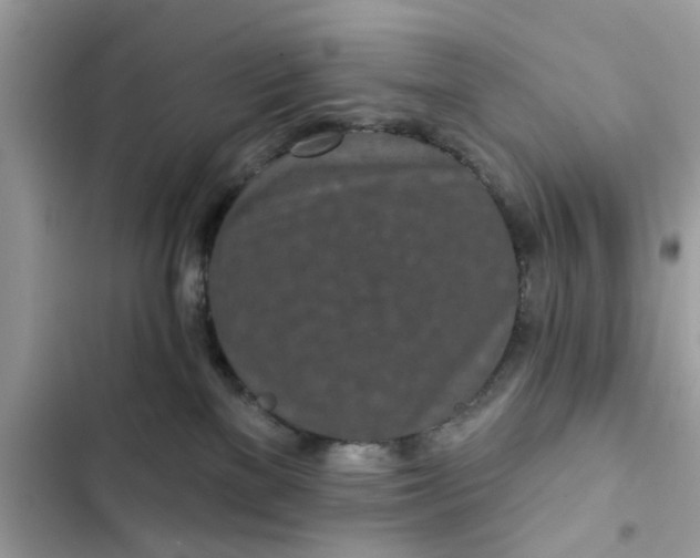 X0000102350137200808151759