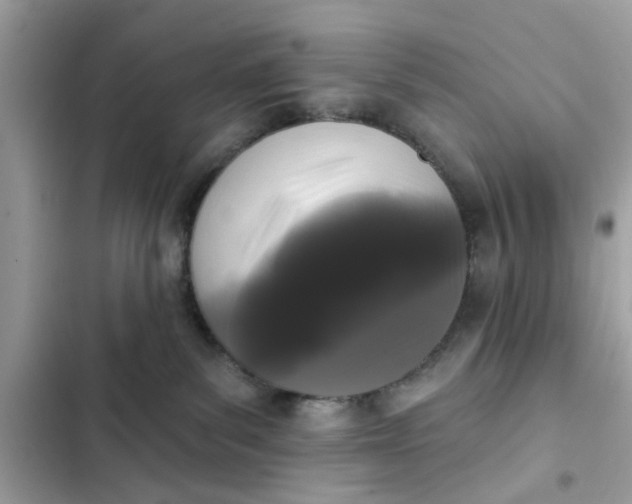 X0000102350139200808151759