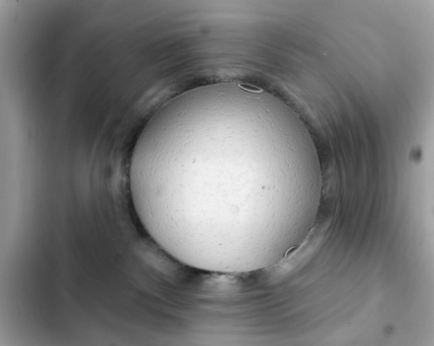 X0000102350140200808151759