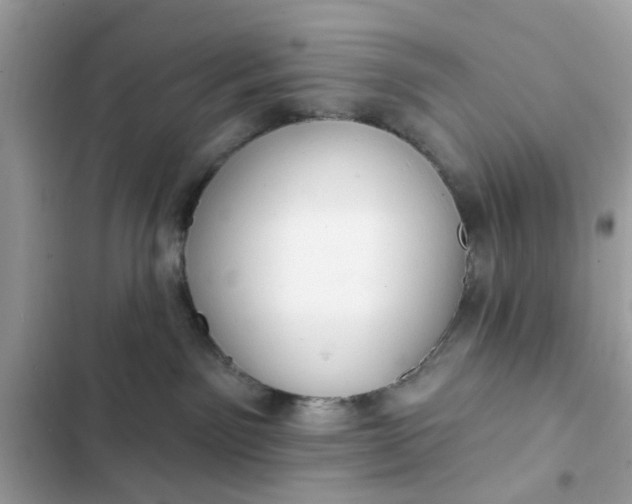 X0000102350141200808151759