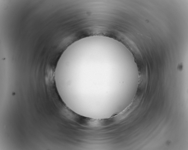 X0000102350142200808151759