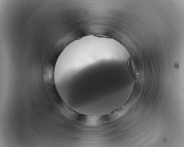 X0000102350143200808151759