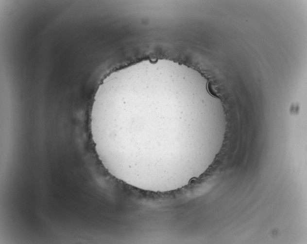 X0000102350144200808151759