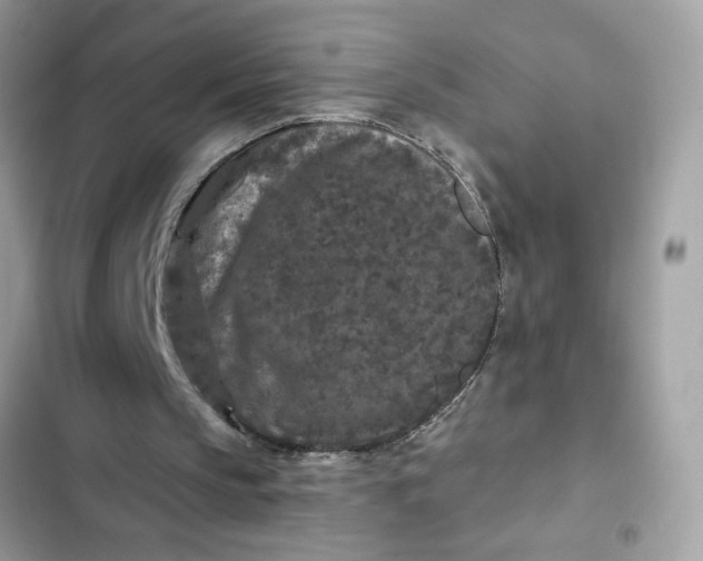 X0000102350145200808151758