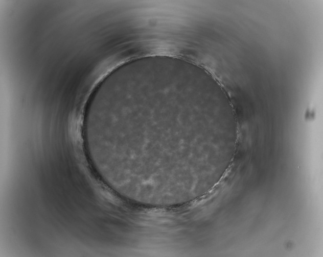 X0000102350146200808151758