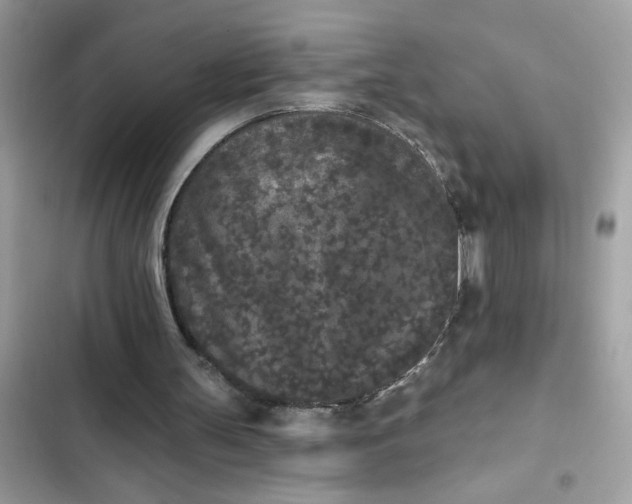 X0000102350147200808151758