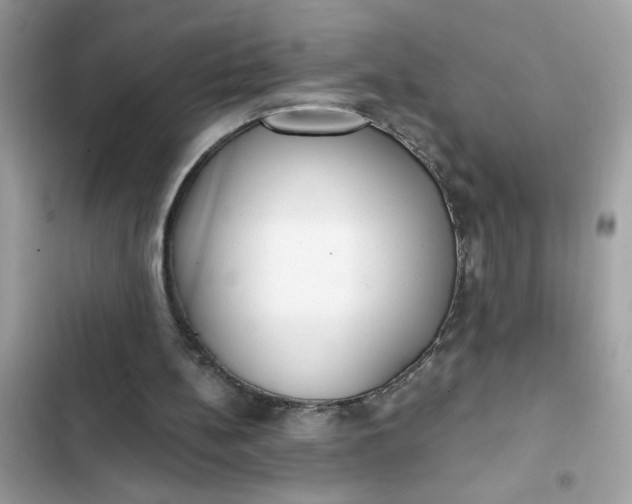 X0000102350148200808151758