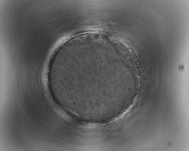 X0000102350149200808151758