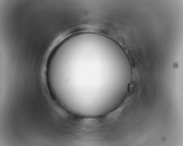 X0000102350150200808151758