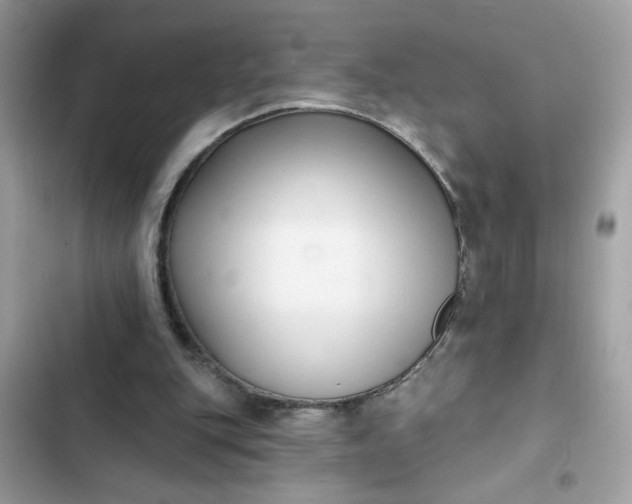 X0000102350151200808151758