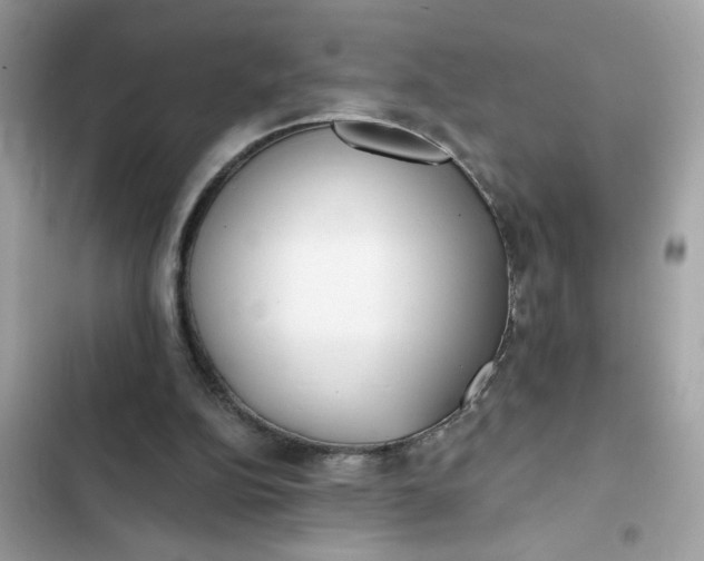 X0000102350152200808151758