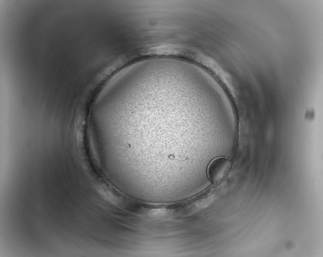 X0000102350153200808151758