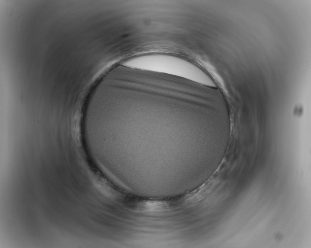 X0000102350154200808151758