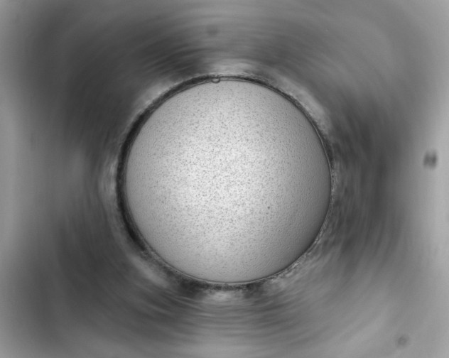 X0000102350155200808151758