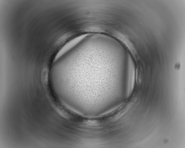 X0000102350157200808151758