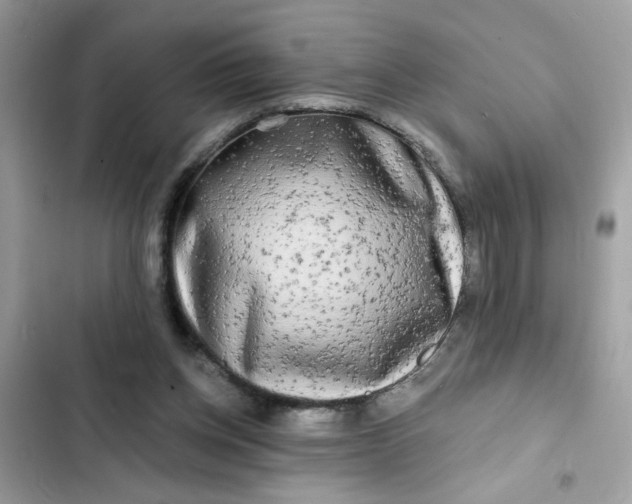 X0000102350158200808151758