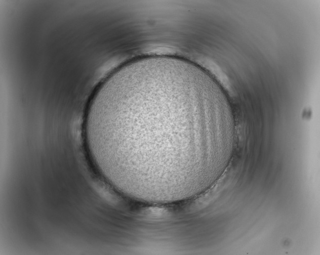 X0000102350159200808151758