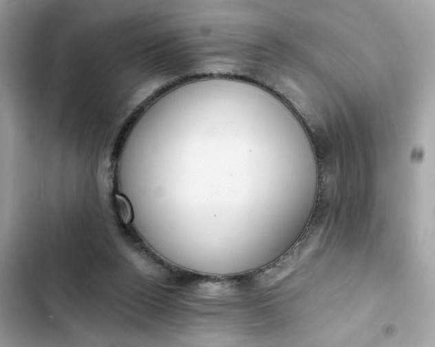 X0000102350160200808151758