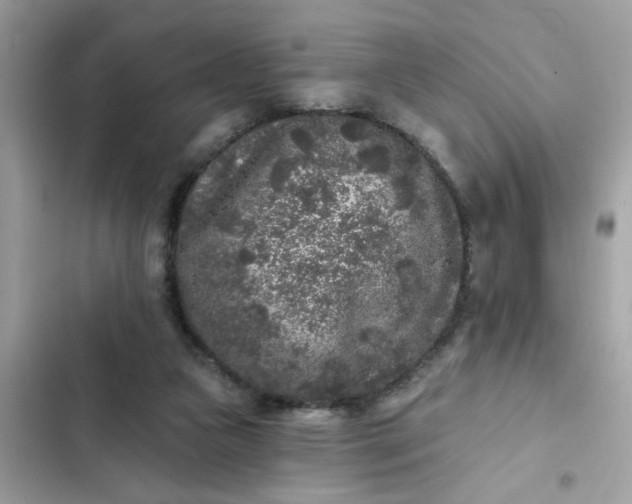 X0000102350161200808151758