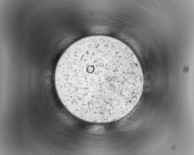 X0000102350162200808151758