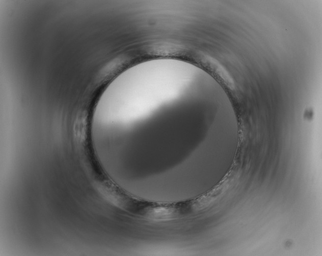 X0000102350163200808151758