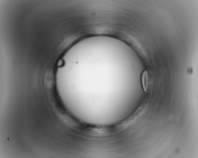 X0000102350164200808151758