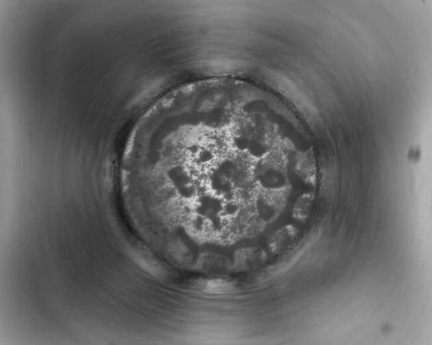 X0000102350165200808151758