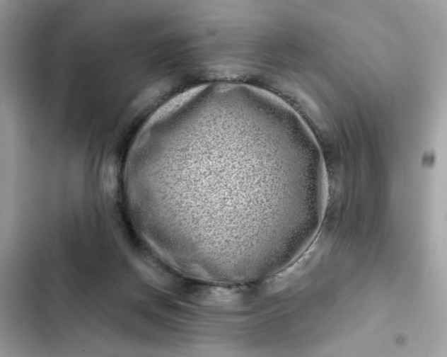 X0000102350166200808151758