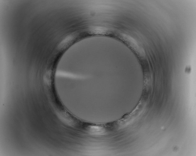 X0000102350167200808151758