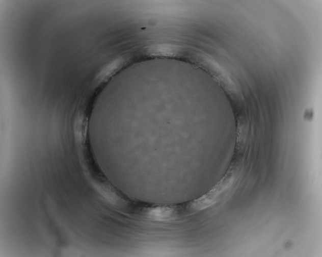 X0000102350168200808151758