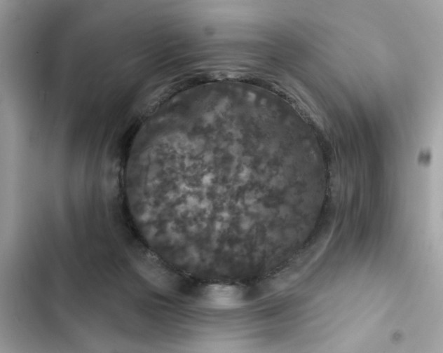 X0000102350169200808151758