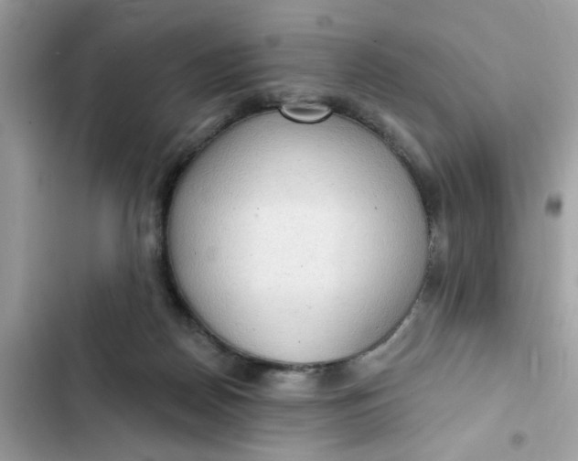 X0000102350170200808151758