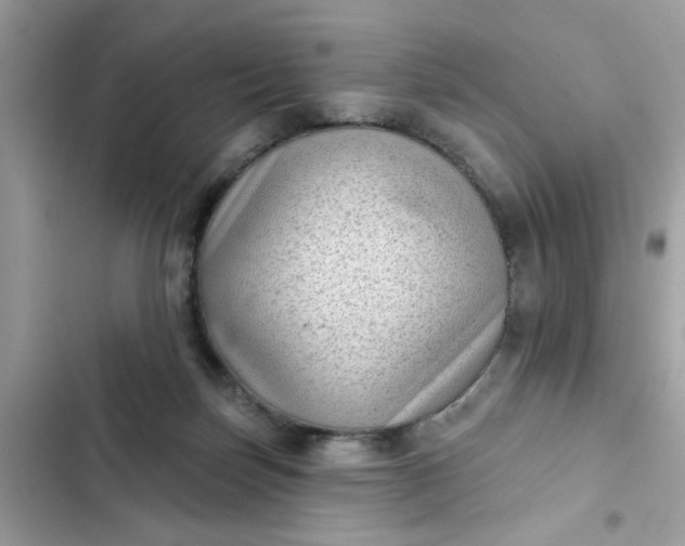 X0000102350171200808151758