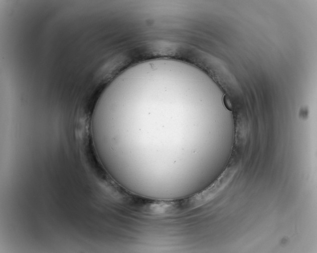 X0000102350172200808151758