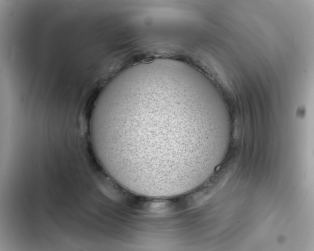 X0000102350173200808151758